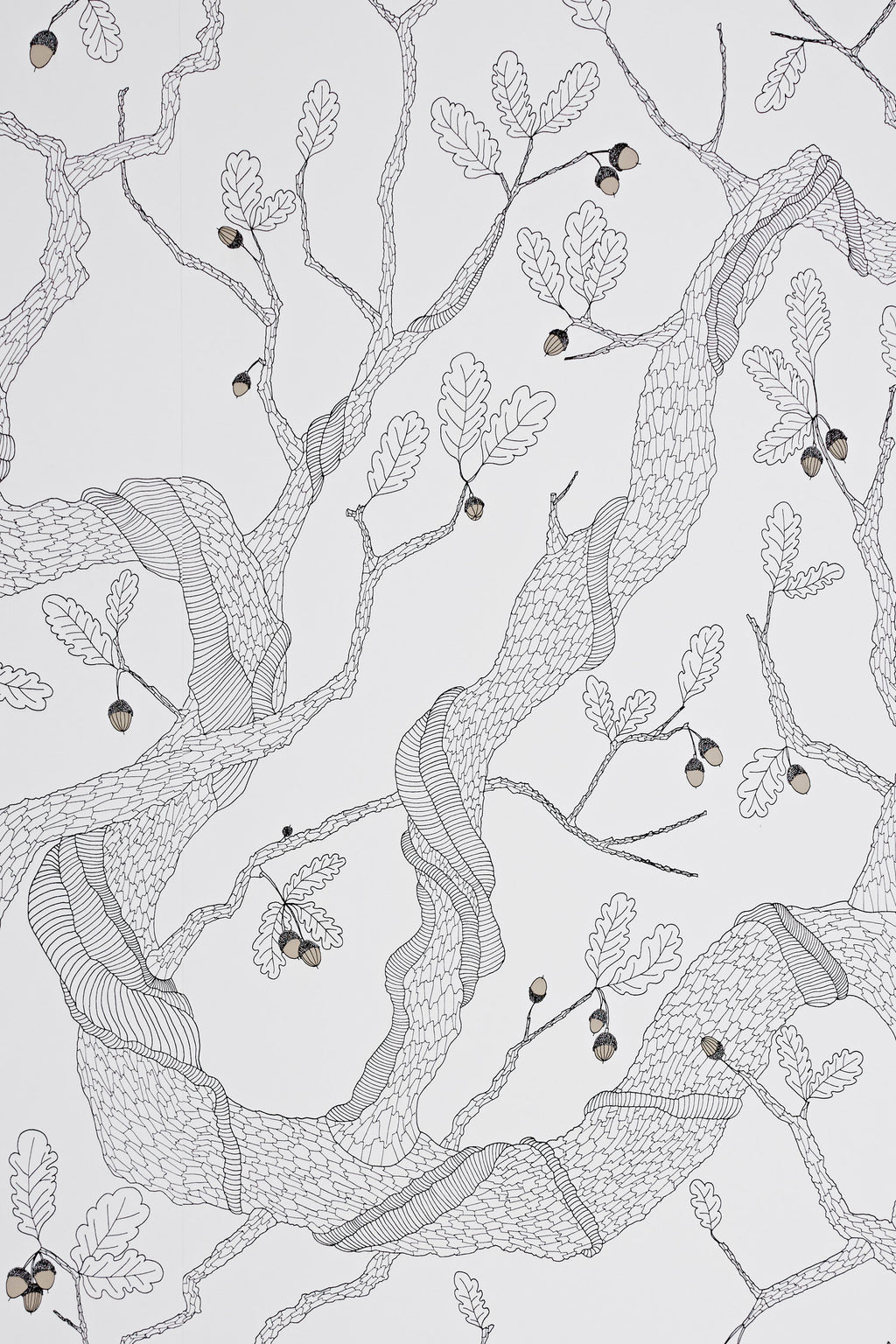 Oak Trees - White - Wallpaper Trader