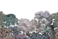 Bellewood - Rainbow - Wallpaper Trader