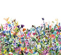 May Meadow,Pastel - White,Green,Multi & Purple - Wallpaper Trader