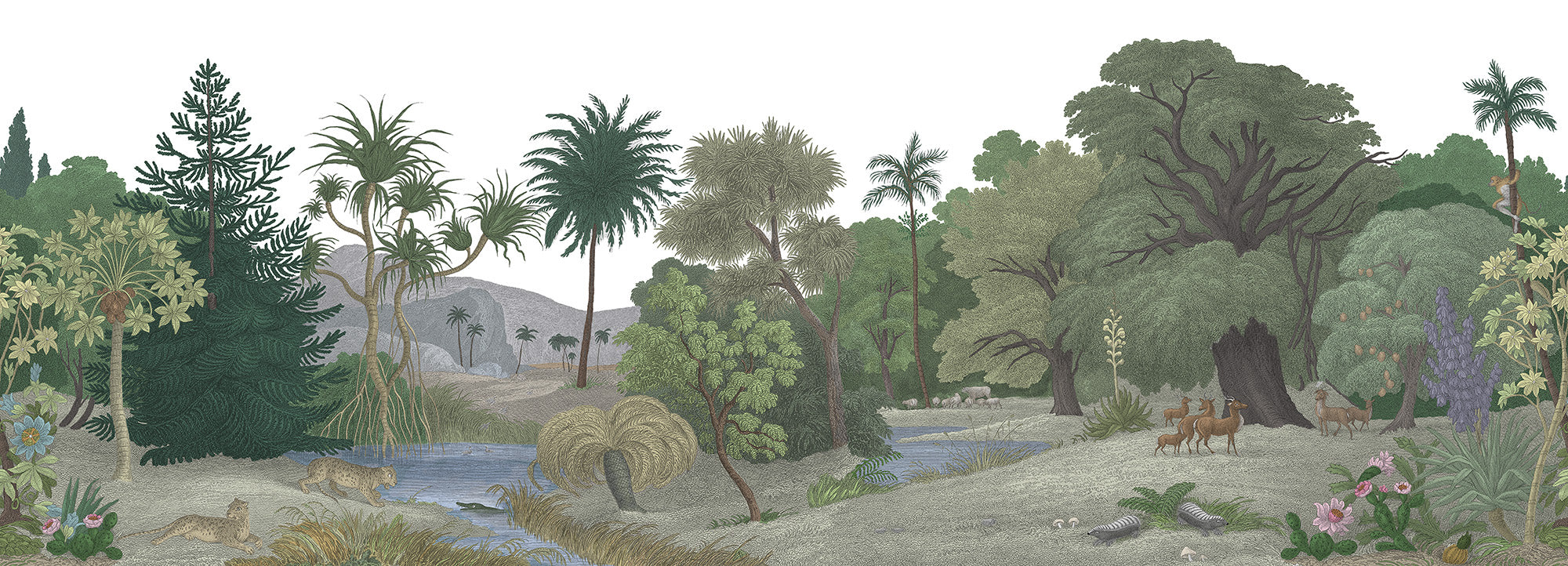 Jungle Land Color - Cool Grass - Wallpaper Trader