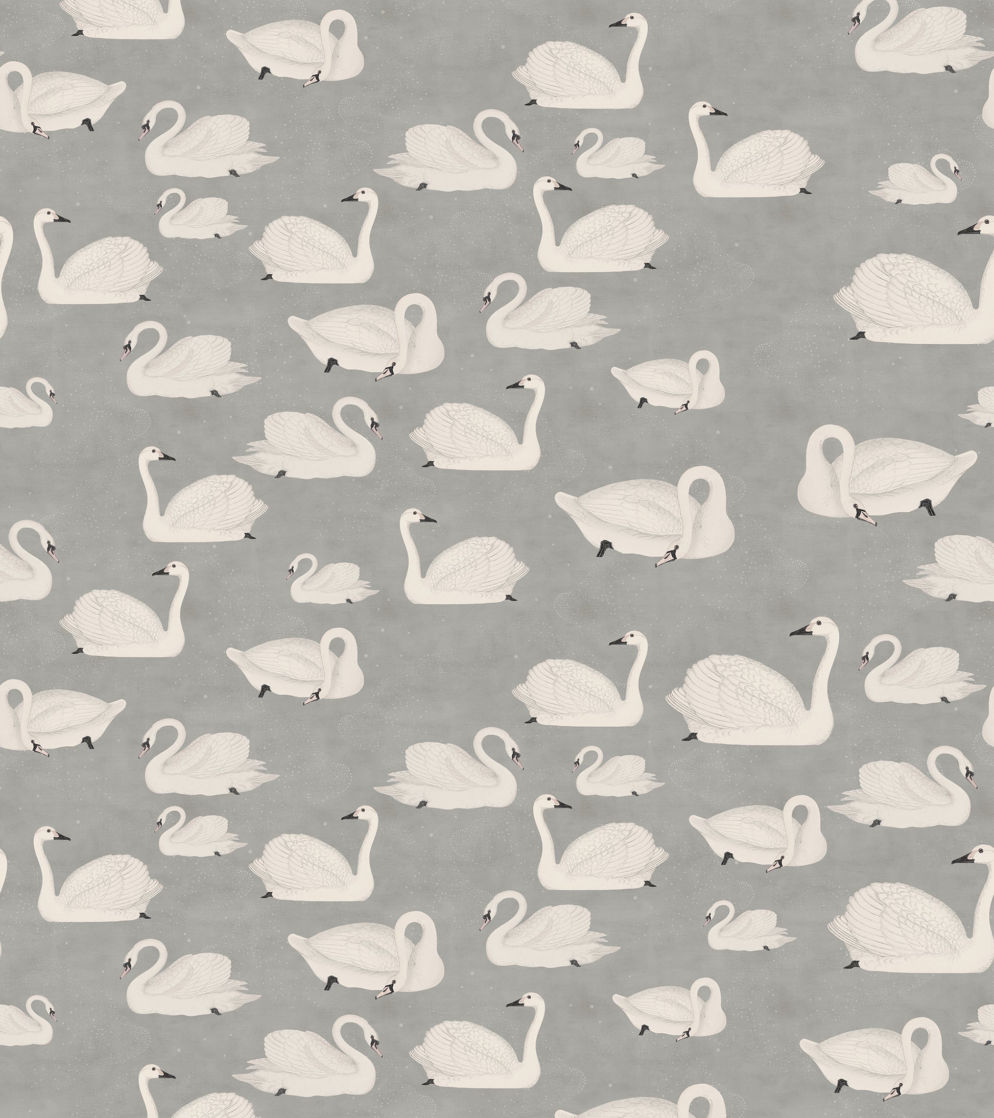 Cygne - Sober Grey - Wallpaper Trader