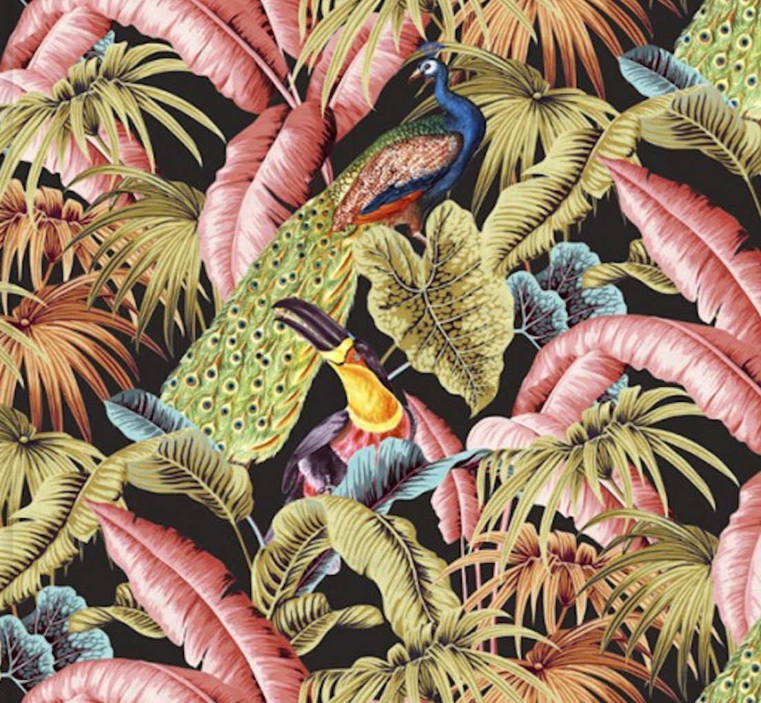 Toucan Tropics - Black - Wallpaper Trader