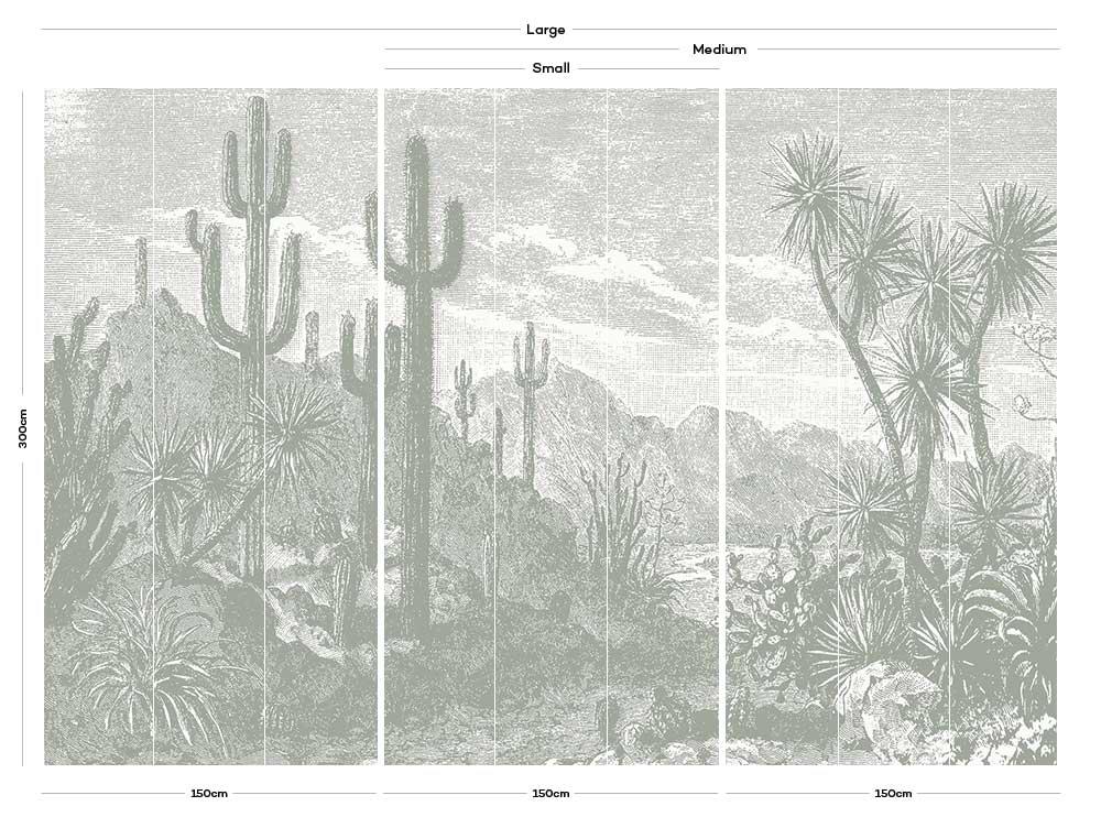 plants