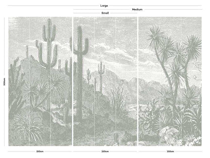 plants