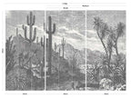 Oasis Desert Wall Mural - Monochrome - Wallpaper Trader