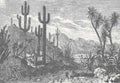 Oasis Desert Wall Mural - Monochrome - Wallpaper Trader
