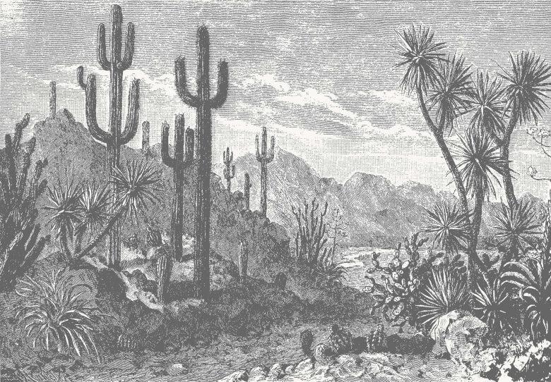 Oasis Desert Wall Mural - Monochrome - Wallpaper Trader