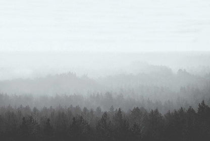 Vintage Forest Wall Mural - Ice - Wallpaper Trader