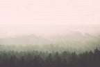 Vintage Forest Wall Mural - Original - Wallpaper Trader