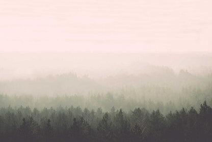 Vintage Forest Wall Mural - Original - Wallpaper Trader