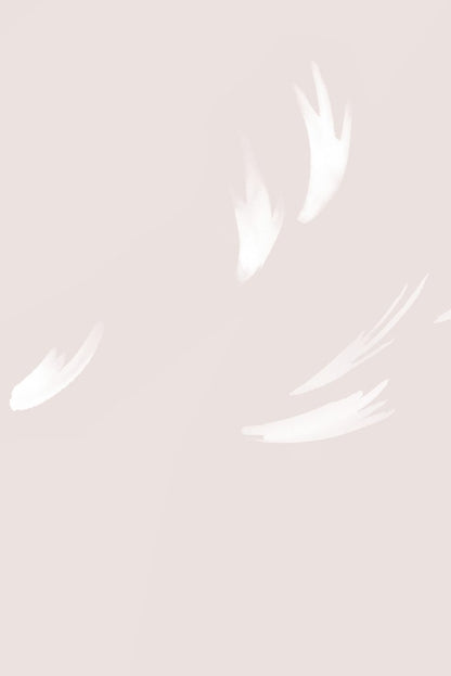 Falling Feather - Blush - Wallpaper Trader