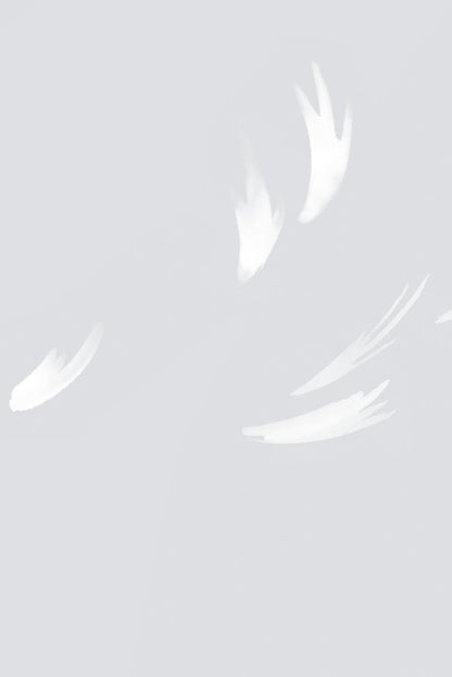 Falling Feather - Dove Grey - Wallpaper Trader