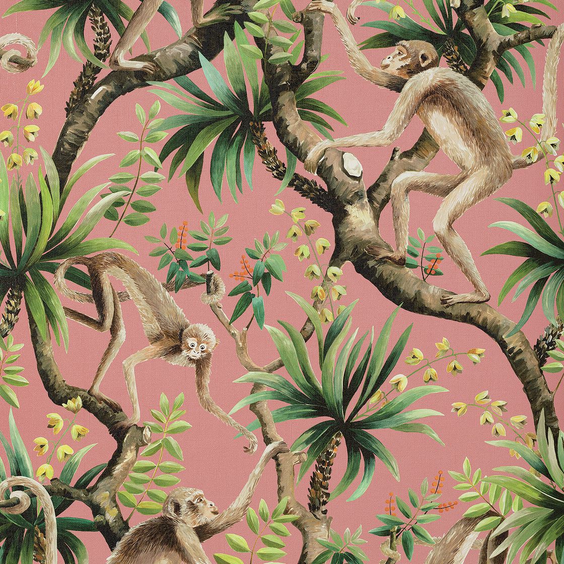 Monkey Business - Coral - Wallpaper Trader